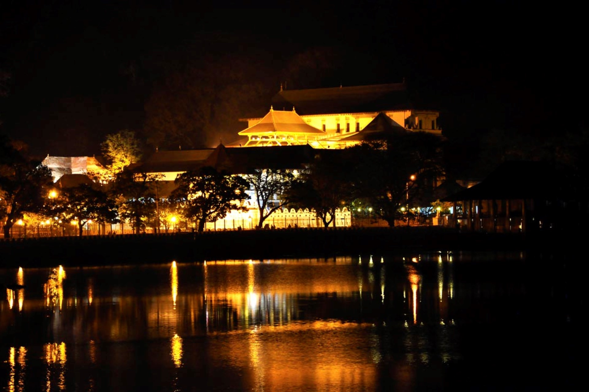 Kandy Royal Botanical Gardens Peradeniya orchid collection
