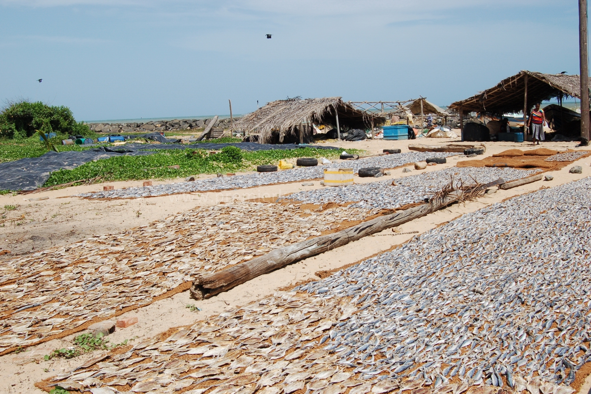 Negombo fish market colonial heritage St Mary Church gateway