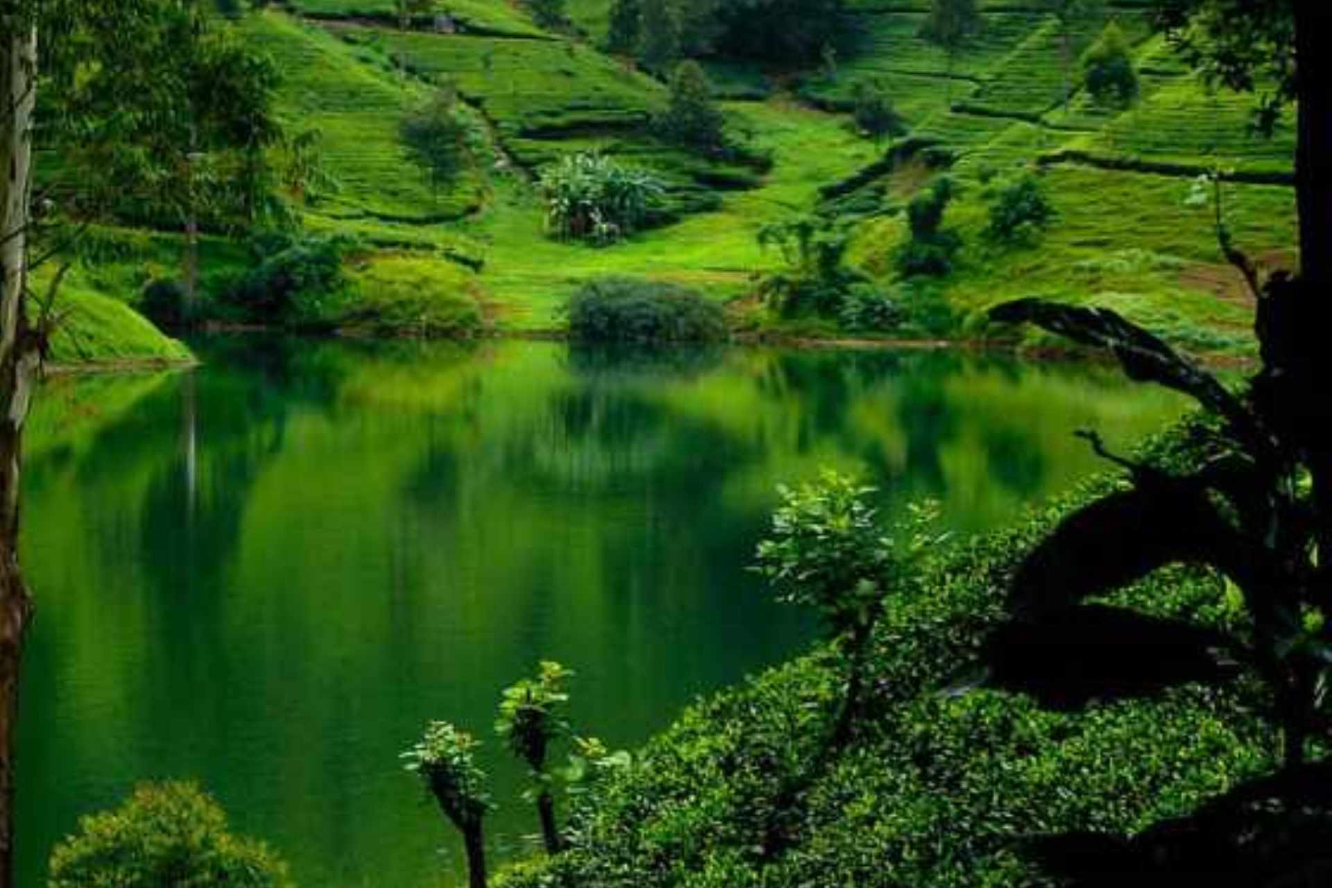 Nuwara Eliya hill station Little England tea plantations highlands