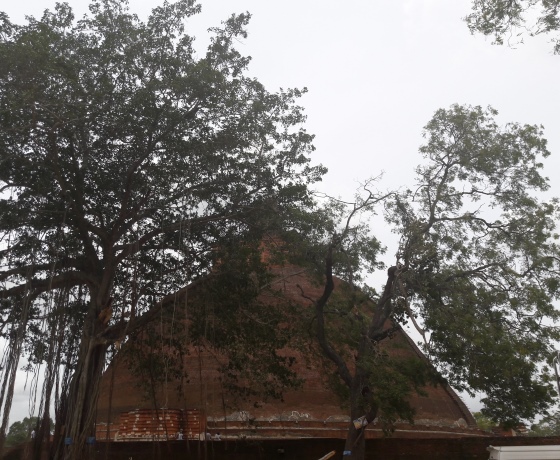 Anuradhapura ancient city Sri Lanka Buddhist heritage