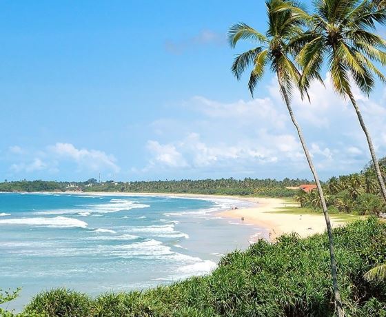 Bentota river cruise Sri Lanka