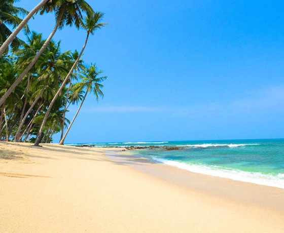 Bentota luxury hotels Sri Lanka