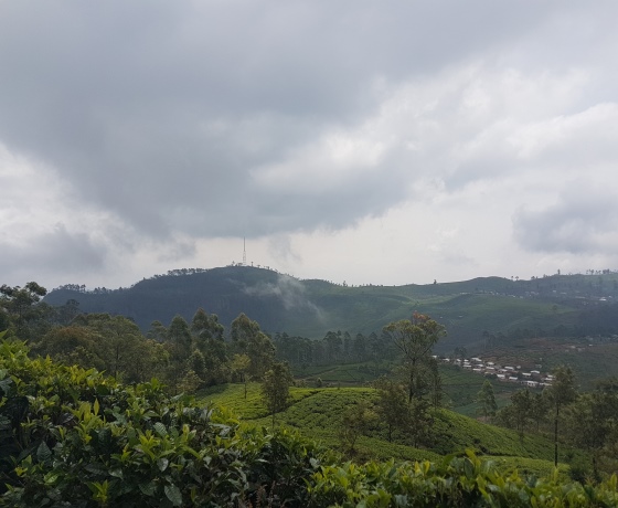Ella Little Adams Peak Sri Lanka