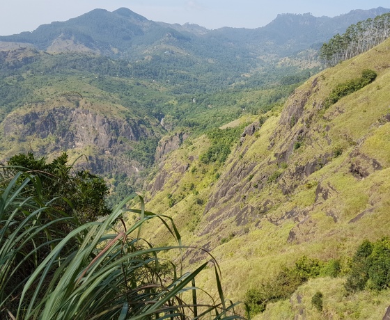 Ella train journey Sri Lanka scenic