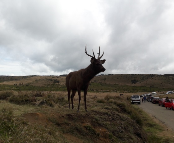 Horton Plains Sri Lanka Worlds End viewpoint