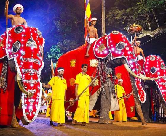 Kandy Esala Perahera festival Sri Lanka