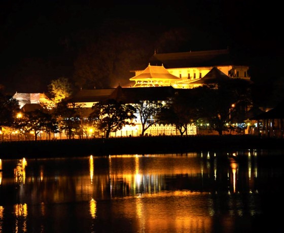 Kandy Peradeniya botanical gardens Sri Lanka