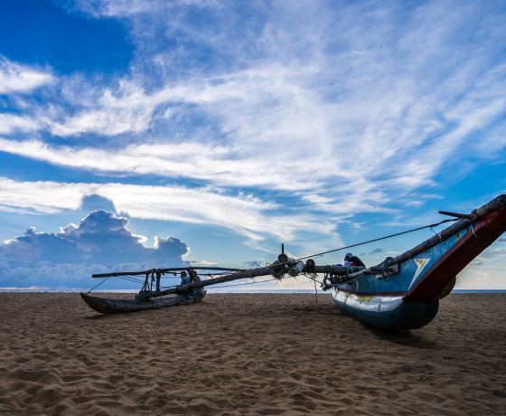 Negombo lagoon Sri Lanka boat rides