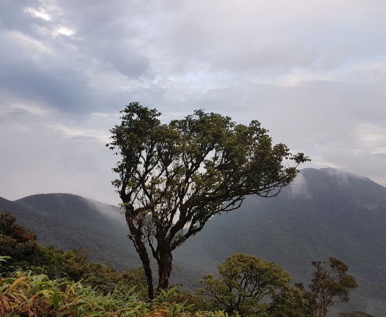 Sri Pada sunrise hike Sri Lanka sacred footprint