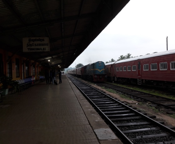 Trincomalee beach Sri Lanka diving snorkeling paradise