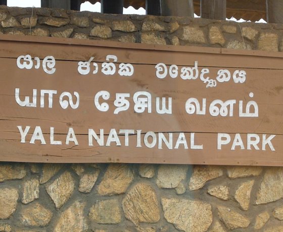 Yala game drive Sri Lanka adventure