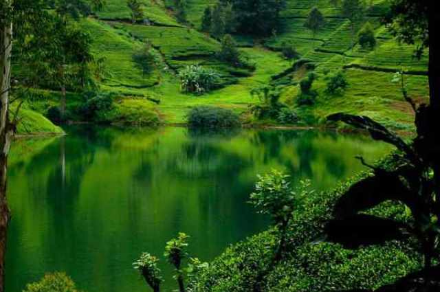 Nuwara Eliya hill station Little England tea plantations highlands